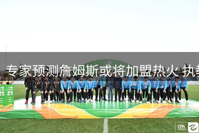 专家预测詹姆斯或将加盟热火 执教差距成关键因素