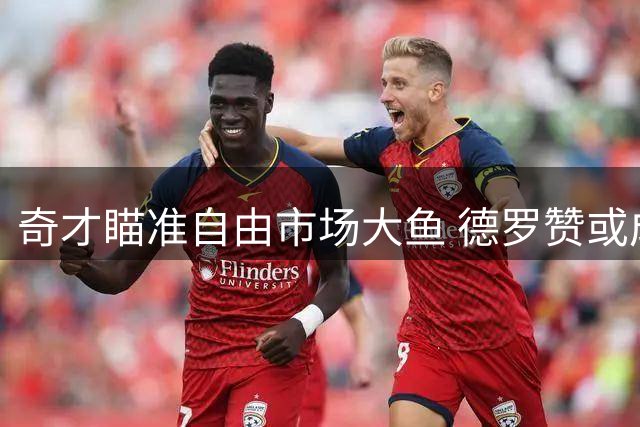 奇才瞄准自由市场大鱼 德罗赞或成华盛顿新拼图